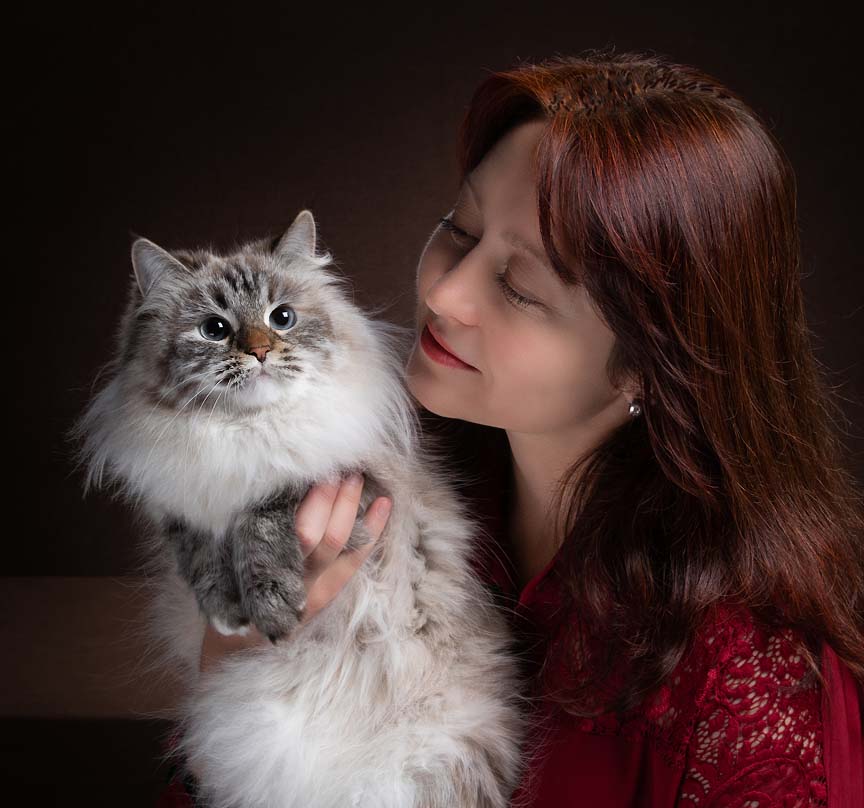 Питомник сибирских кошек