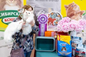 Клуб кошек Астра выставки кошек 1